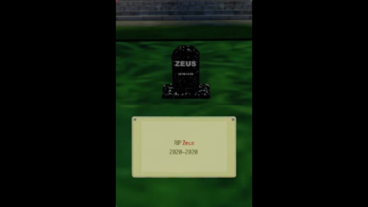 Nintendogs - Anti Piracy Screen