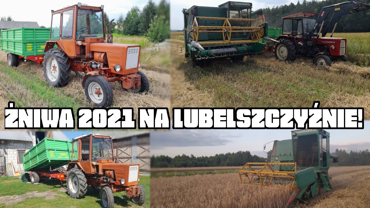 Żniwa 2021 z polskimi nutami! Volvo BM1130 | T-25 | C-360 | Wodziński 3.5T