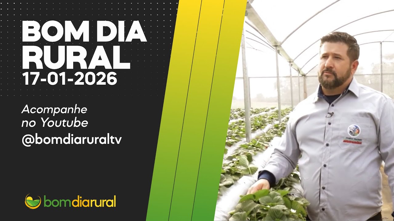 Bom Dia Rural 17-01-2026