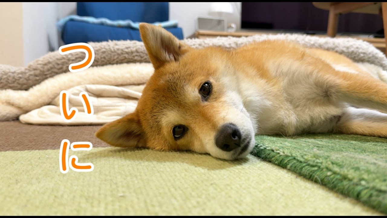 福ちゃんとやっと念願叶いました