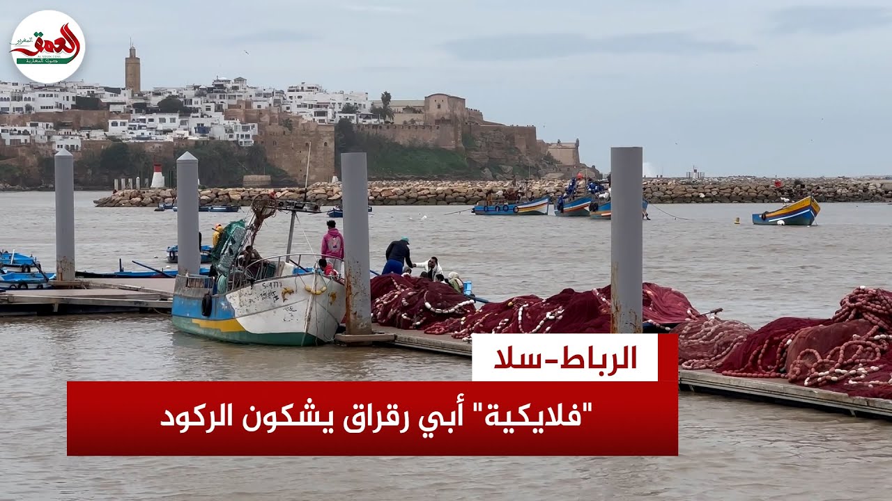 بين نعمة الغيث وقسوة الظروف.. 