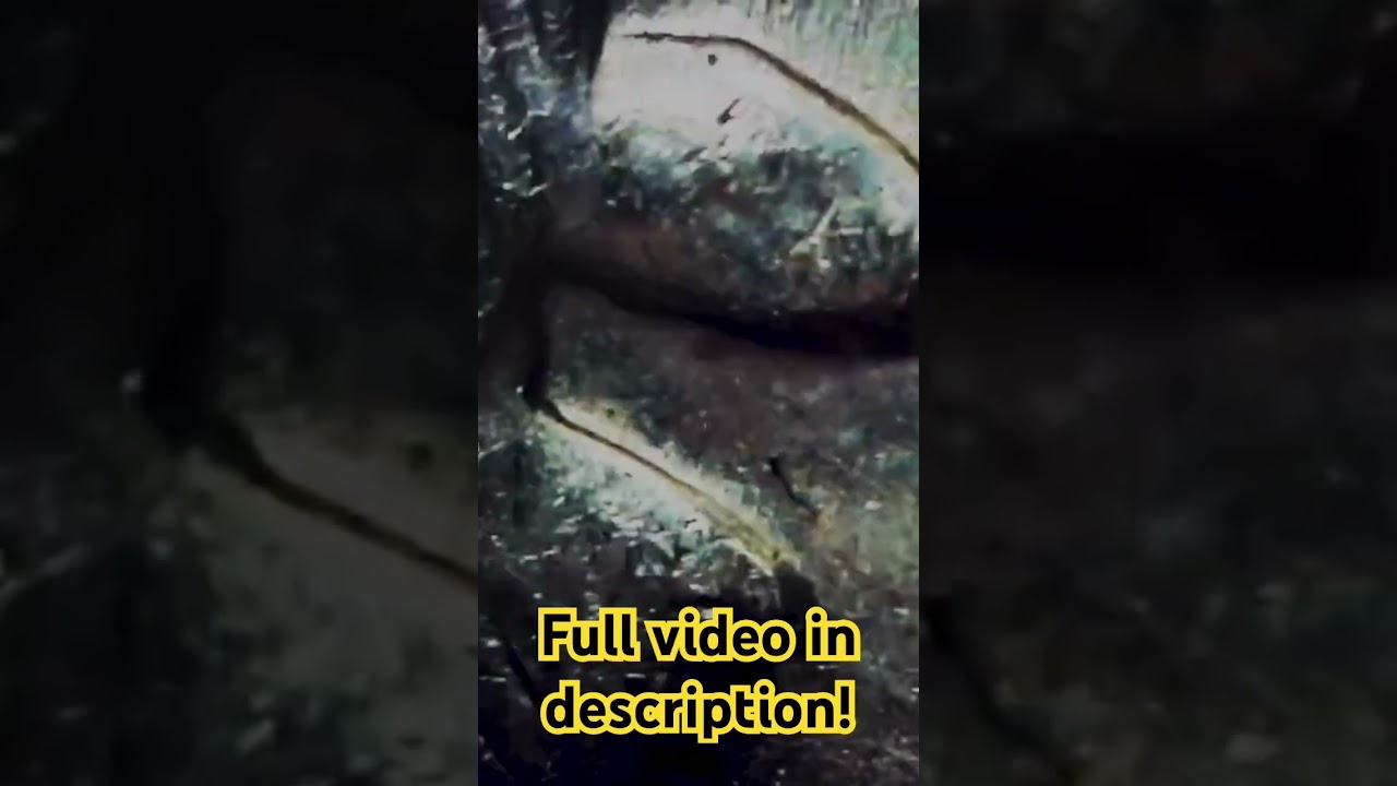 Did we find a 1972 D “No FG” half dollar? 