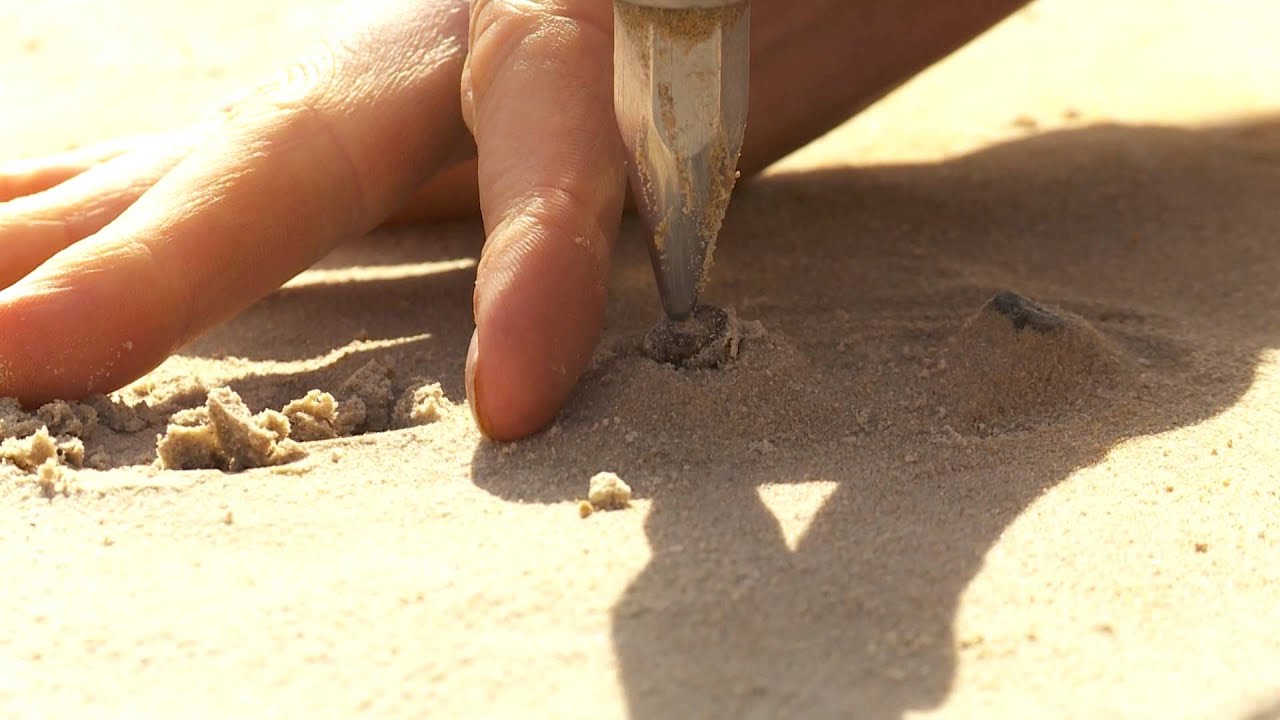 Opgraving groot grafveld uit de Steentijd in Dalfsen