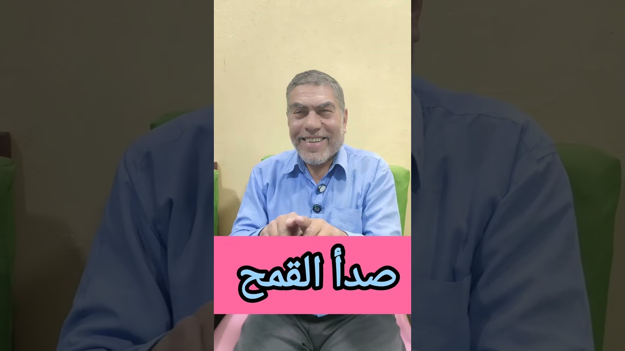 صدأ القمح 