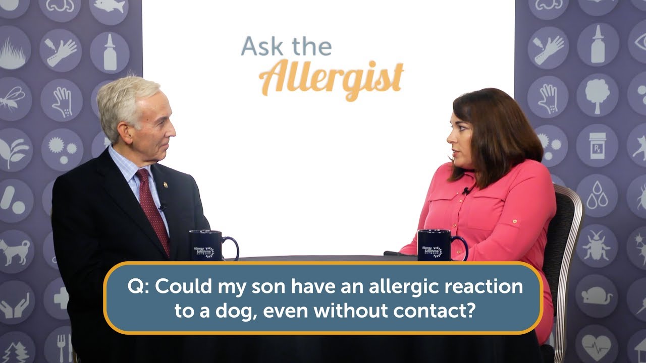 Ask the Allergist: When Pet Allergy Is Severe&hellip;