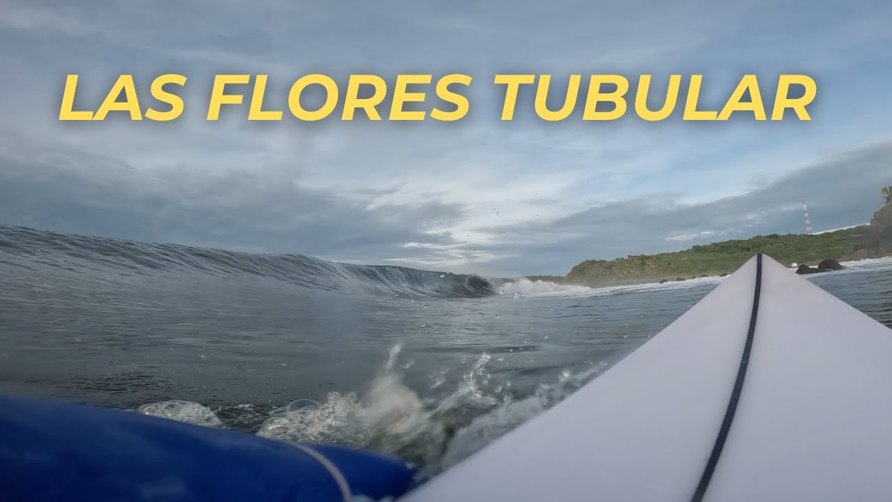 LAS FLORES PERFEITO E TUBULAR (POV)
