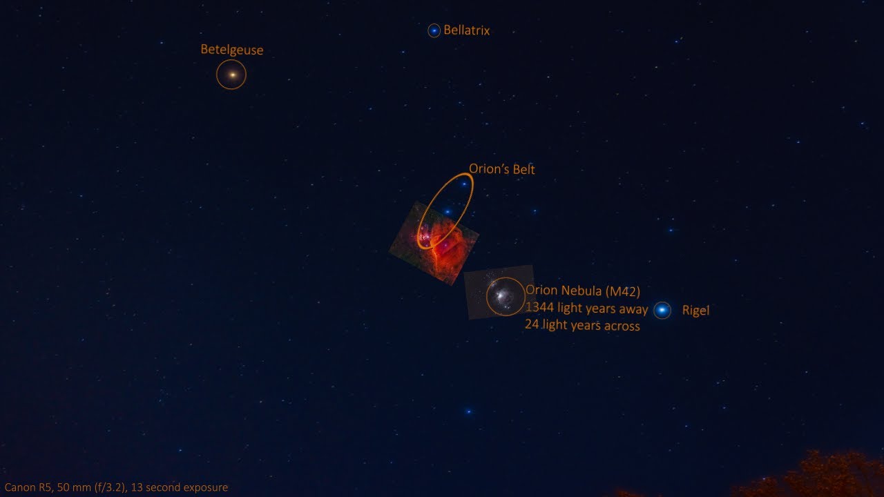 A Perspective on Orion