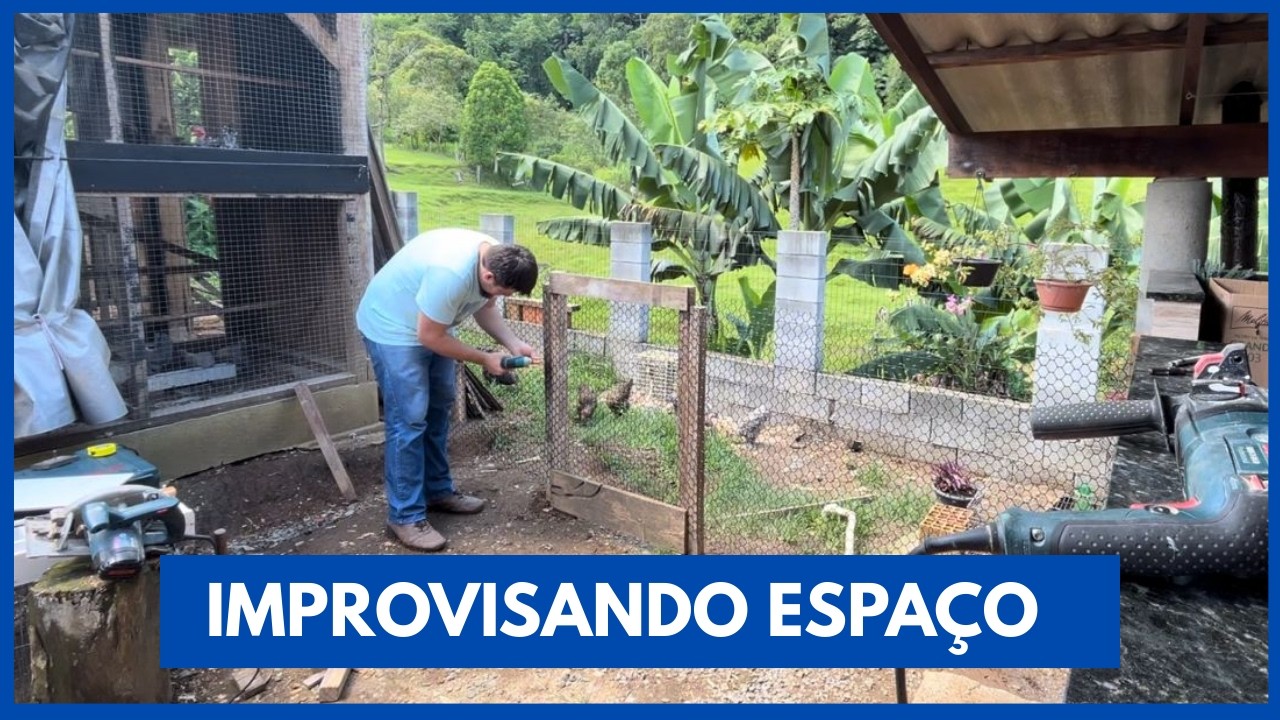 Novo galinheiro em casa? | Coração campeiro 