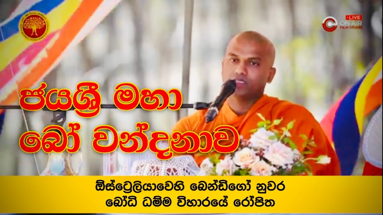 ඕස්ට්‍රේලියා බෙන්ඩිගෝ නුවර බෝධි ධම්ම විහාරයේ සිදු කළ ජය ශ්‍රී මහා බෝ වන්දනාව | Bodhi Dhamma Temple.