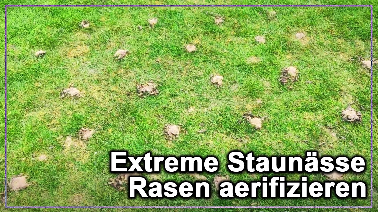 Staunässe auf Rasen | Extrem Aerifizieren mit Bohrmaschine | Boden belüften & sanden?