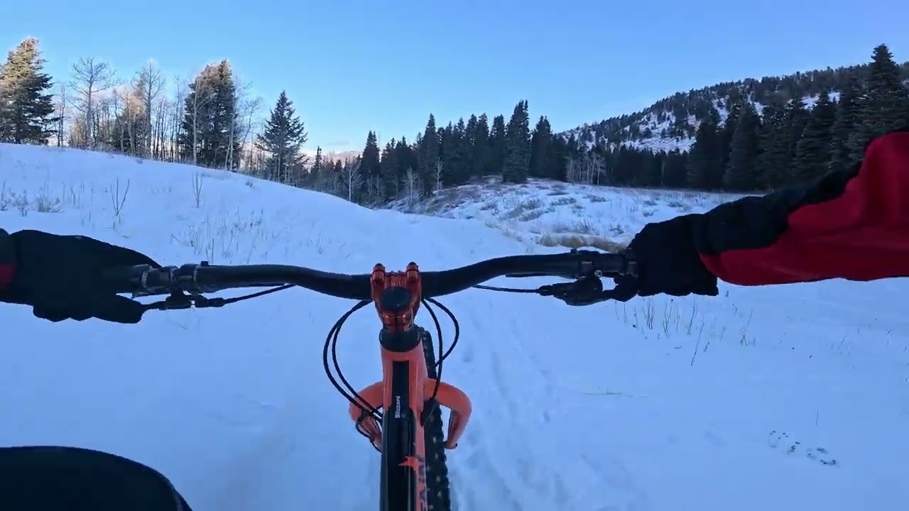SFLDC AF Canyon 2026