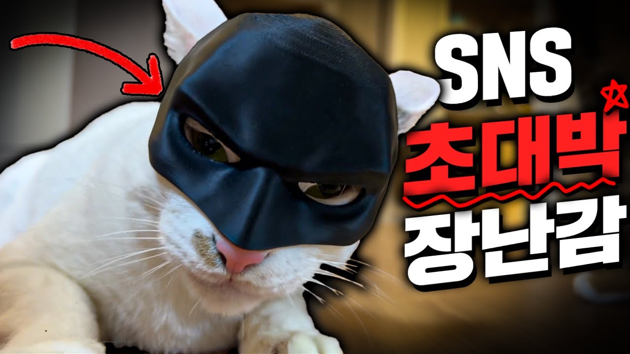 좋아요 1700만개 받은! SNS 초대박 장난감 5종 리뷰!