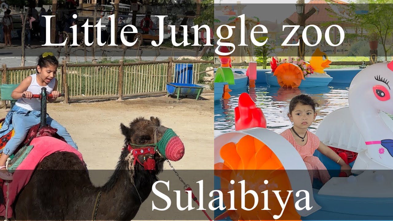 Little Jungle Zoo Sulaibiya | Kuwait | part 2