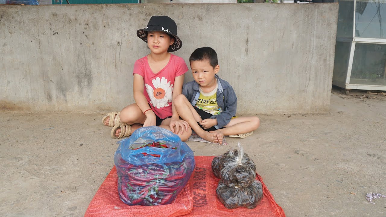 Orphan Survival - Harvest snail & chili fruit goes to market sell - earn money to buy food