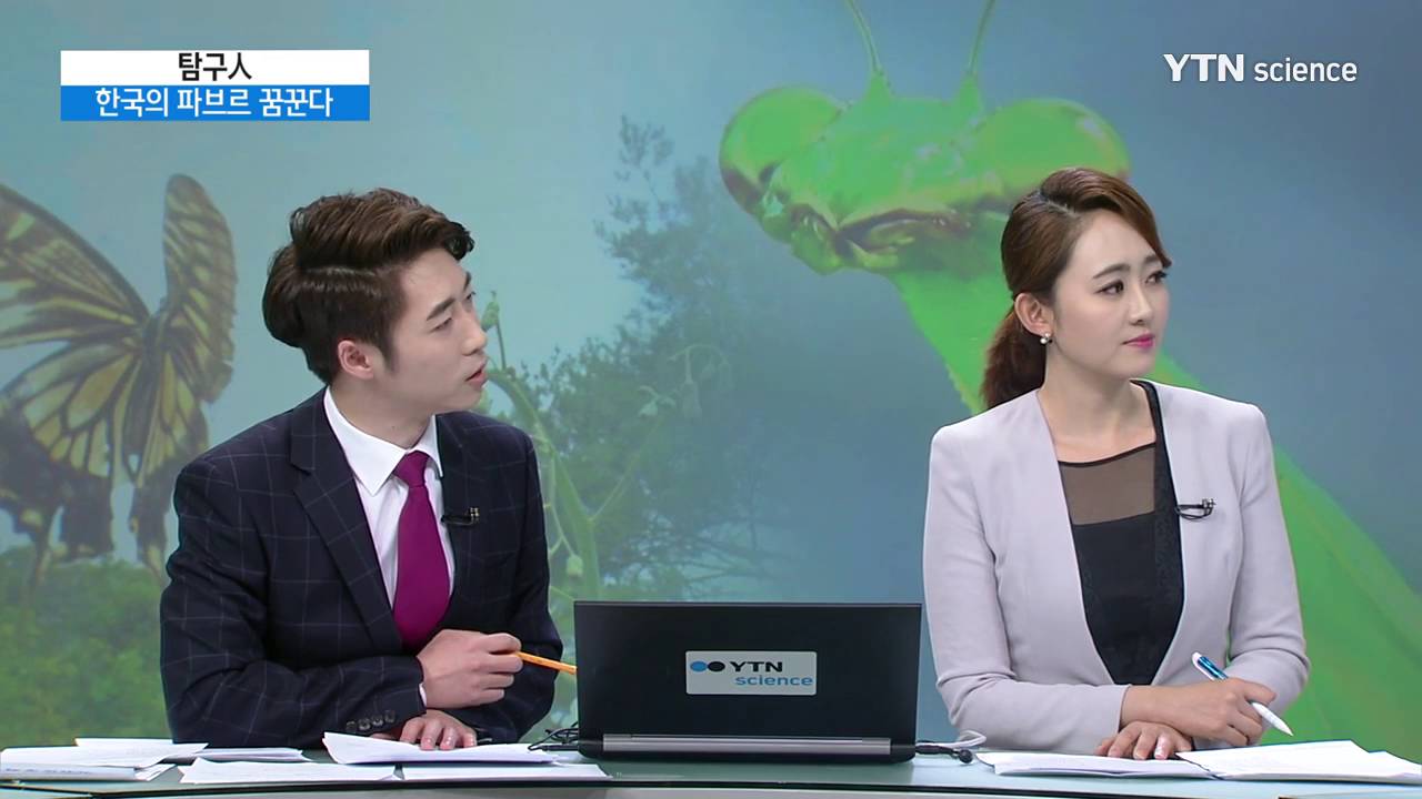 [YTN 사이언스] 한국의 파브르가 말하는 토종 곤충 / YTN 사이언스