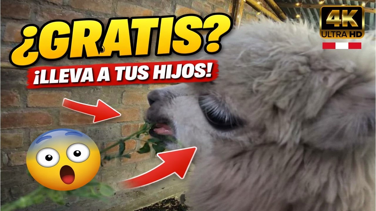 Animales de GRANJA  (ANIMAL FARM ) -  PLAZA NORTE LIMA PERU