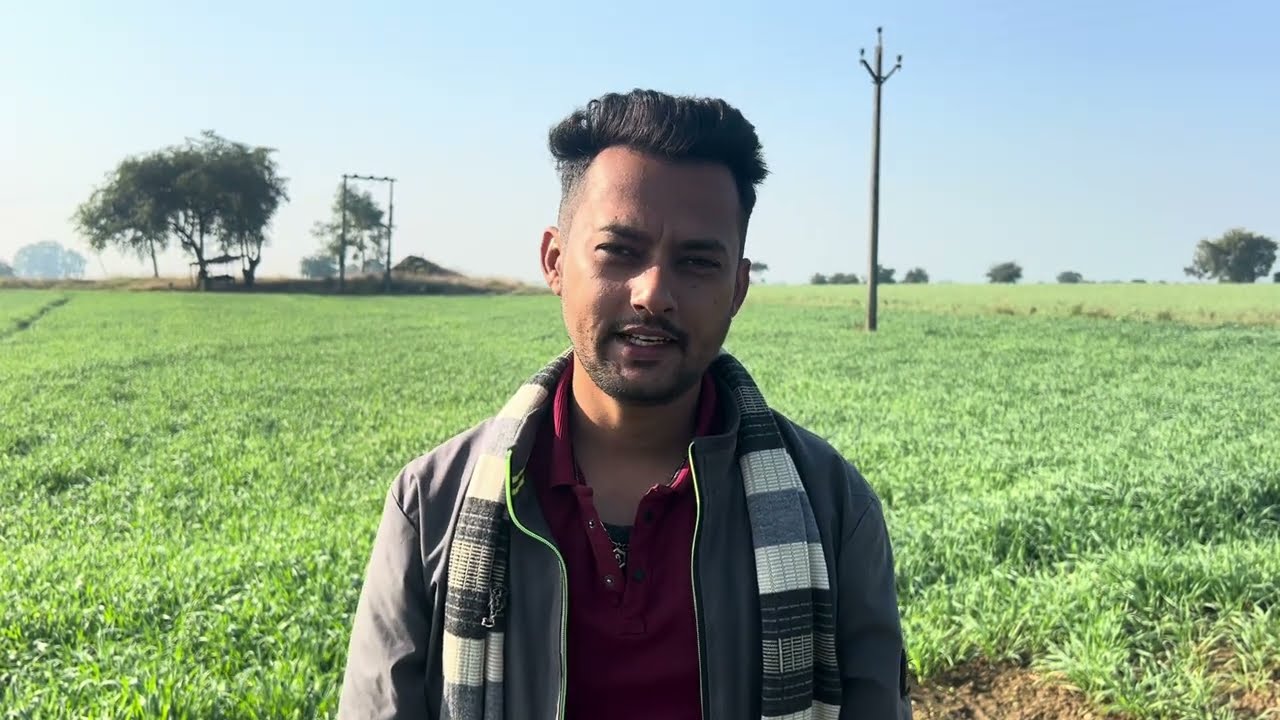 गेहूं में उत्पादन पैदावार बढ़ाने हेतु ये करे|गेहूँ की खेती करने वाले जरूर देखे|gehu ki kheti 2026