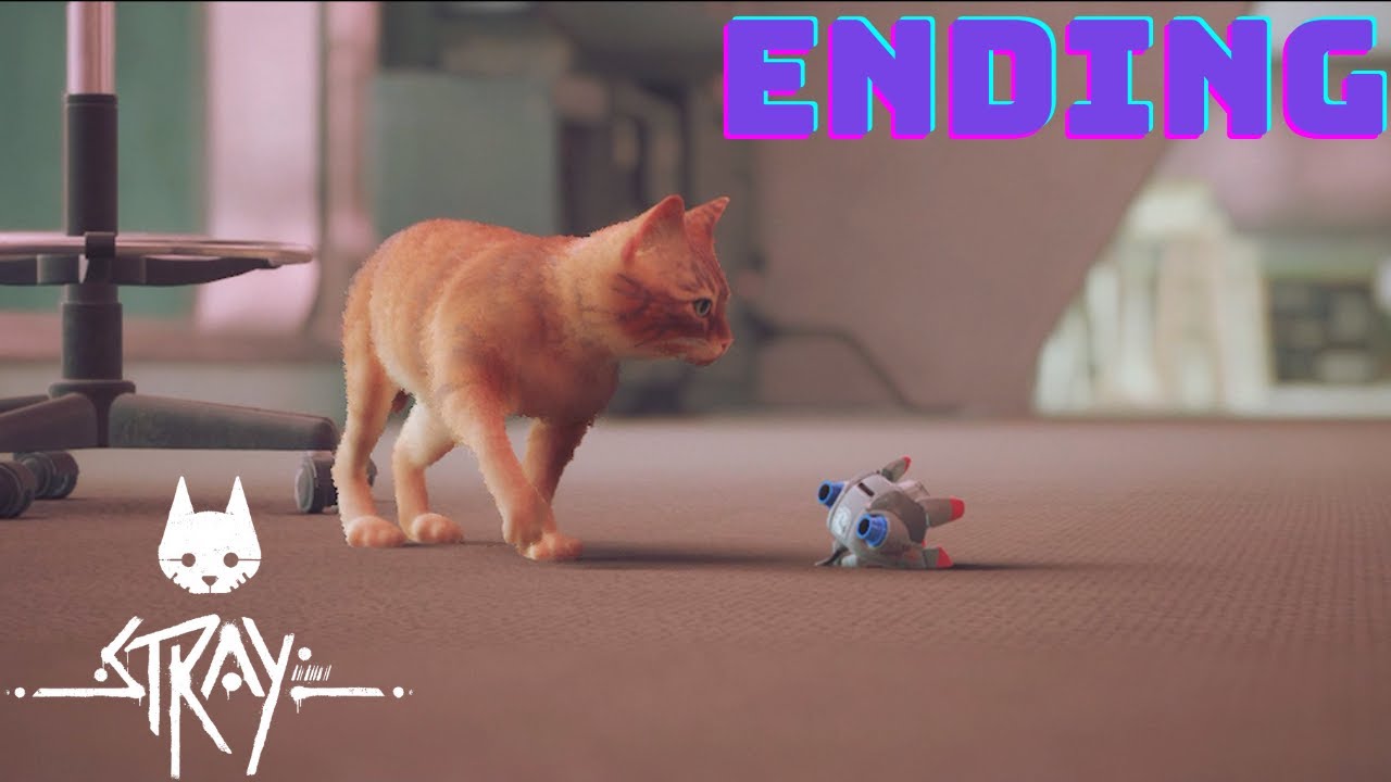 Stray   Ending | Last part of the Game With Sad Ending