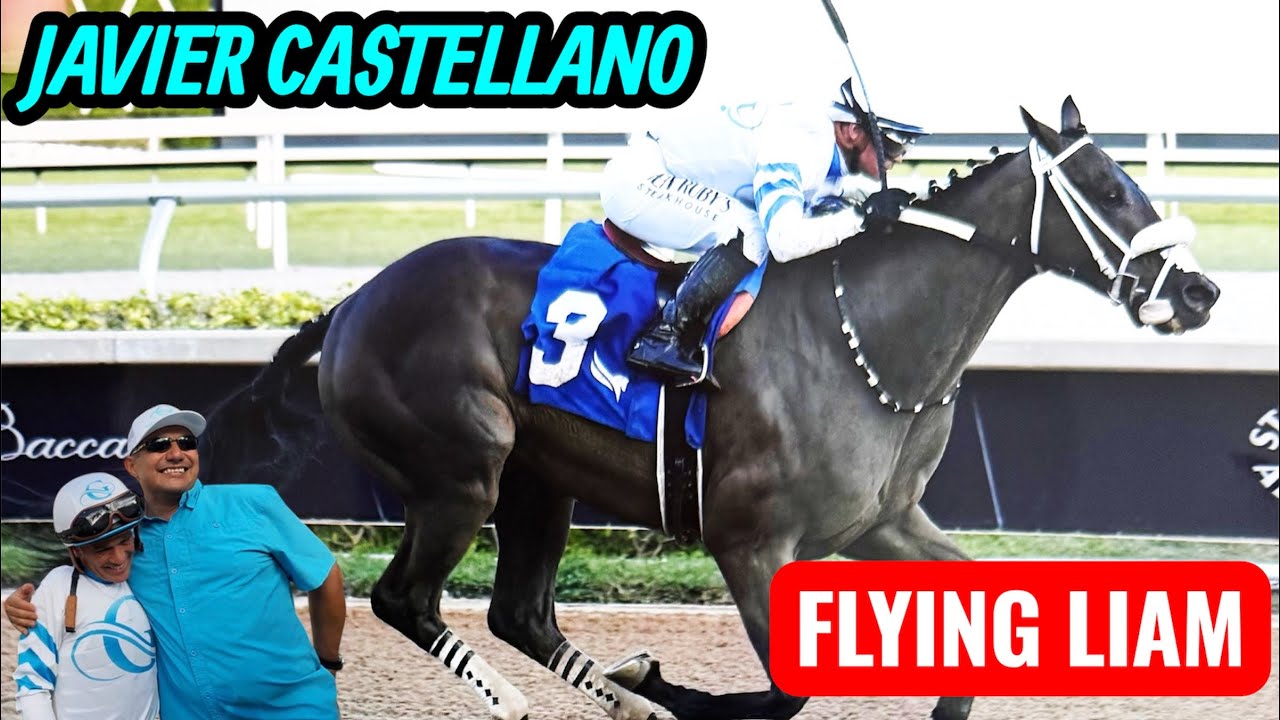 CASTELLANO- DEMASIADAS EMOCIONES EN UN MISMO VIDEO!