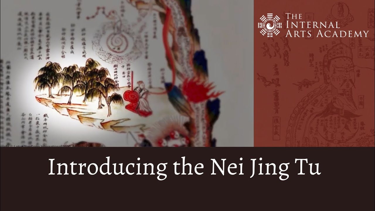 Nei Jing Tu (內經圖) Explanation - Damo Mitchell