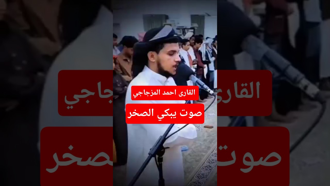 القارئ احمد المزجاجي #خشوع #قران_كريم #راحة_نفسية