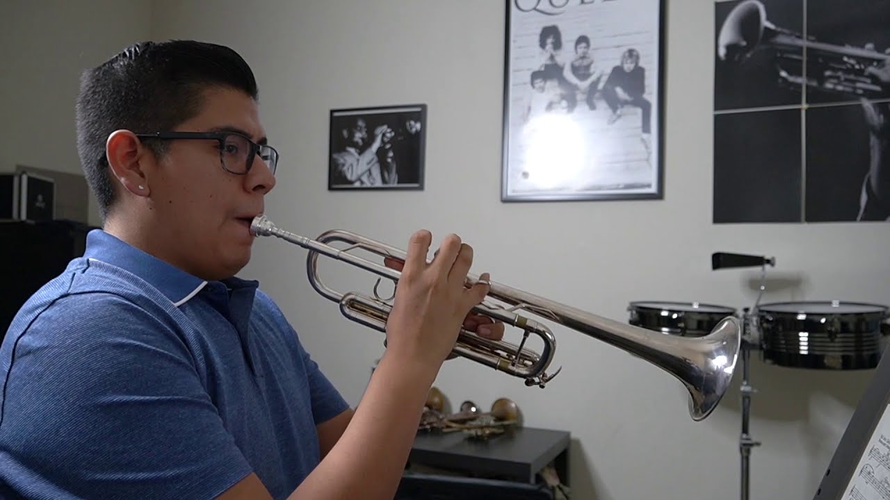 ALPINE SYMPHONY - STRAUSS/TRUMPET EXCERPTS-ELMER CHURAMPI