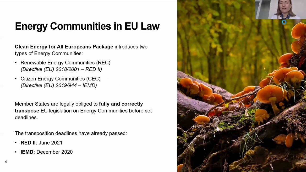 Enforcement of EU legislation on energy communities_Anna Fraczyk_ClientEarth