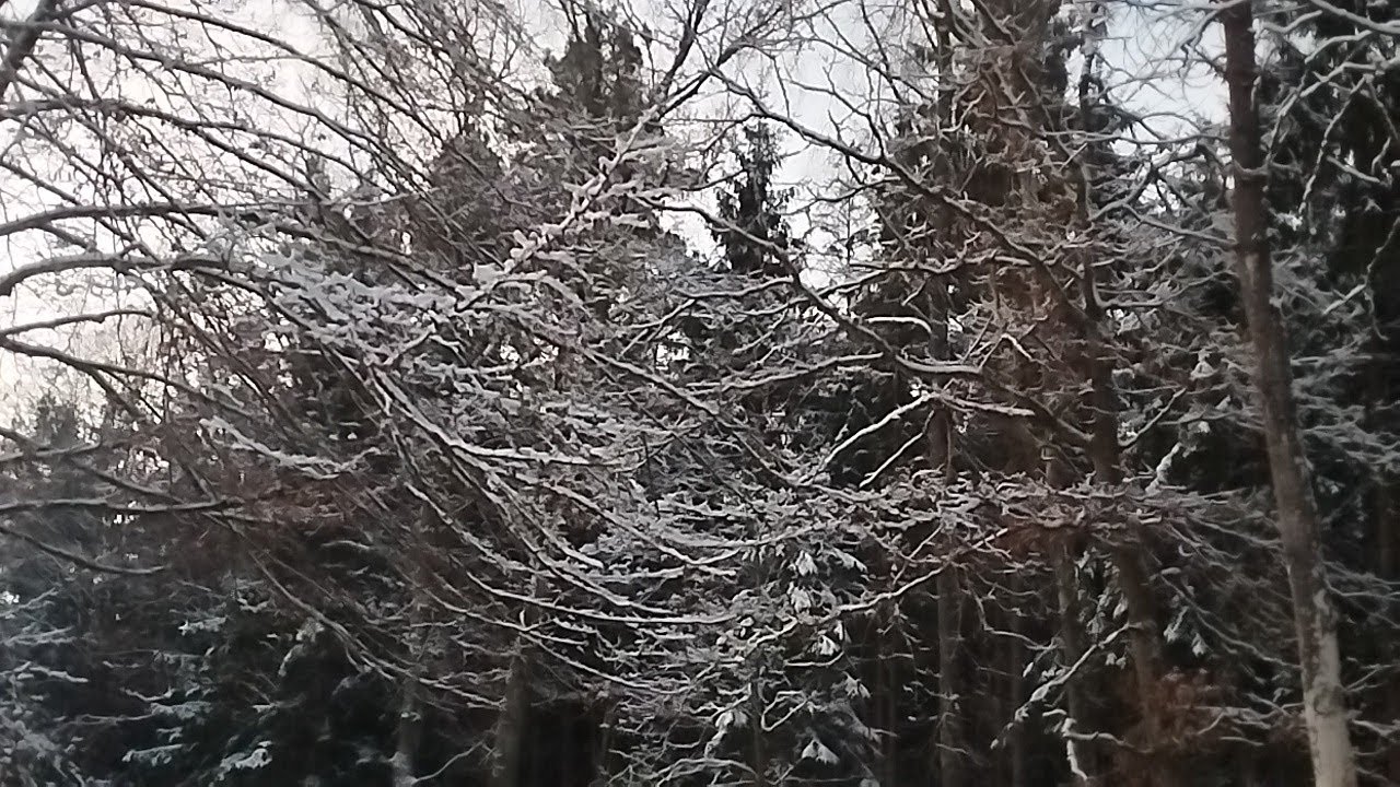 Zima zaskakuje 