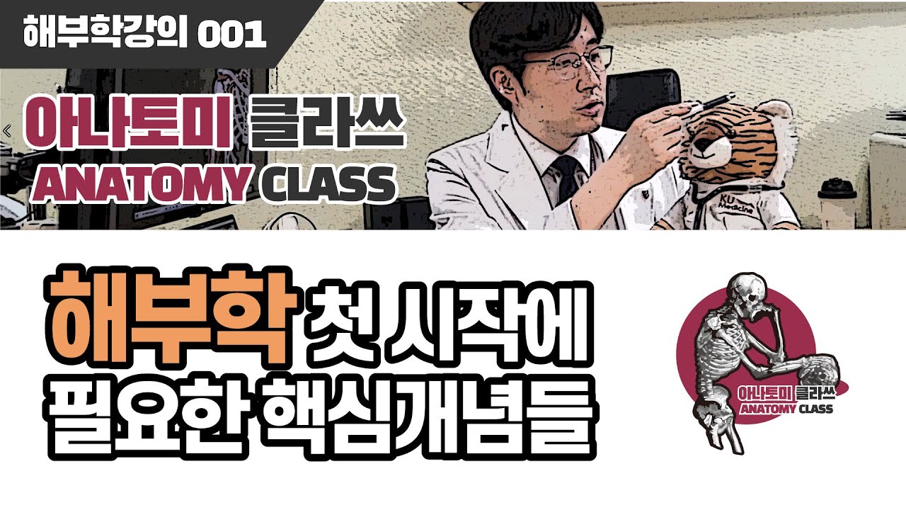 [해부학] 해부학의 기초 Essential concepts of Anatomy 아나토미 클라쓰 001