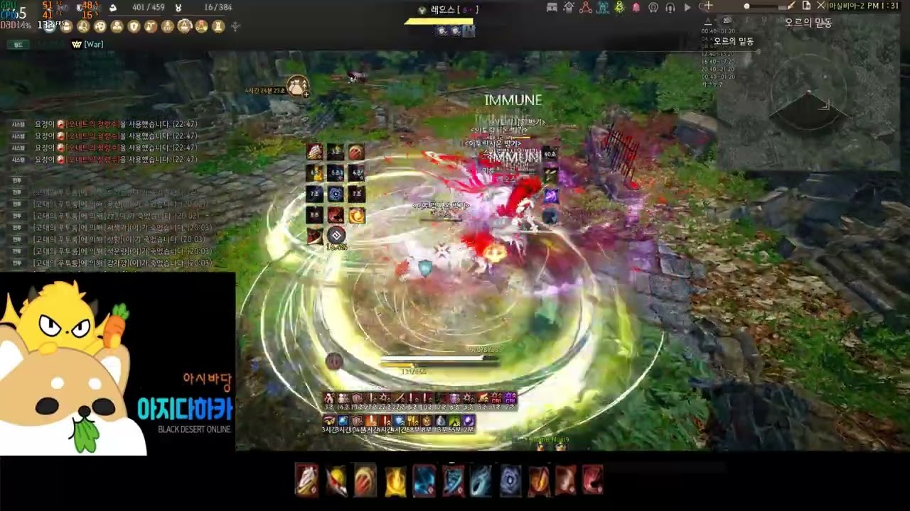PVE)각성 쿠노이치 오르제키아 샘플 (BDO ORZEKEA AWAKENING KUNOICHI)