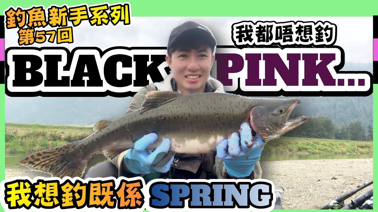 【釣Spring遇著Pink】釣魚新手系列-第57回｜還有紅肉帝王鮭?｜老婆瘋狂中XX~老公瘋狂開口中｜Vedder River Salmon Fishing｜ Hailey Family