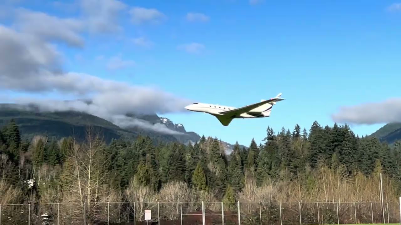 Коммерческий радиоуправляемый реактивный самолет Freewing PJ50