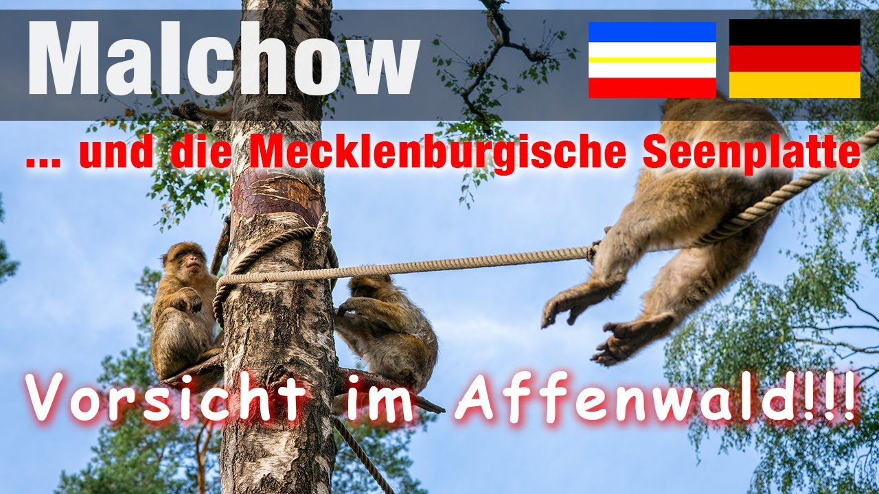 Mecklenburgische Seenplatte - Achtung Affen und Bären!