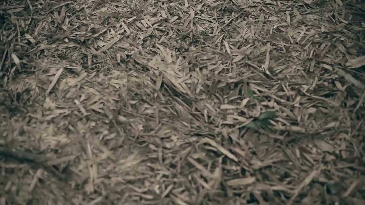 Nymph Short Film!