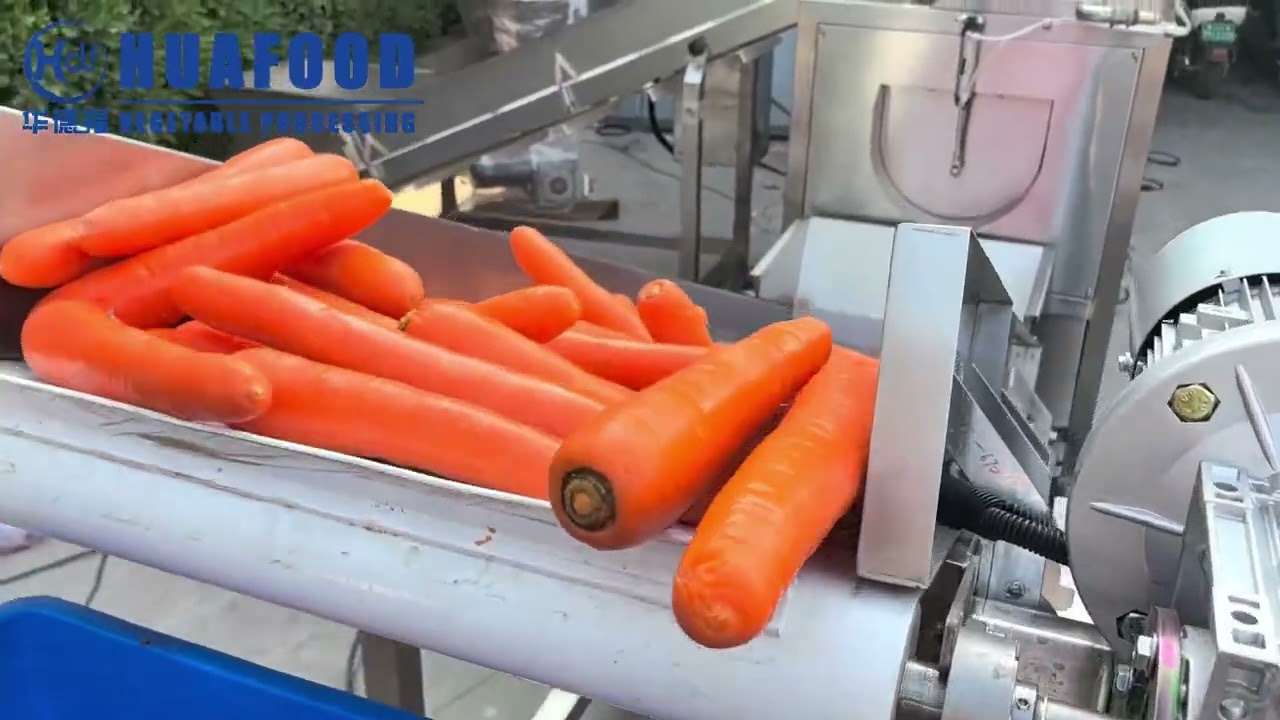 Carrot washing line