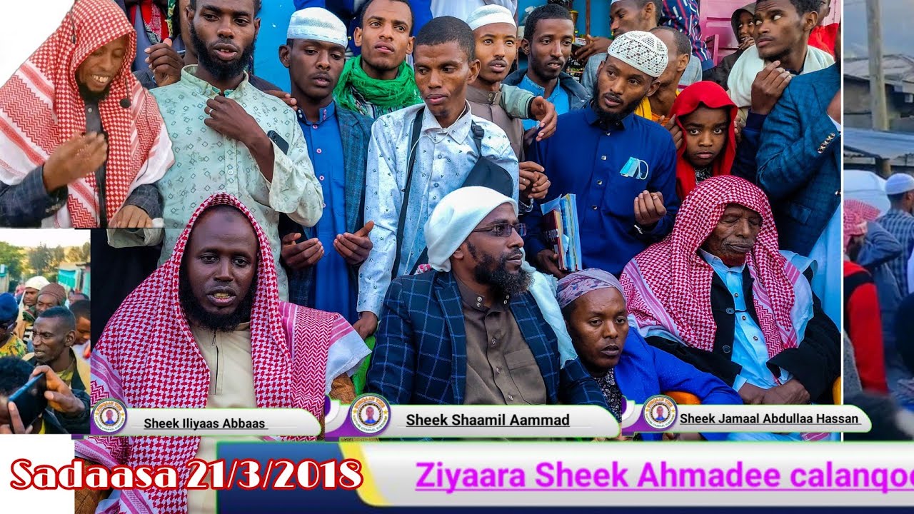 Jiilli Sheek Iliyaas Abbaas siin durfamu Ziyaara Sheek Aammadee Calanqoo dhayne