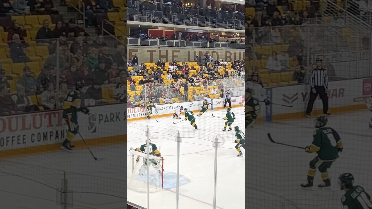 Bro ran into a brick wall #hockey #nhl #umdbulldogs