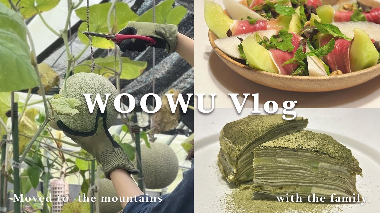 從果園到餐桌Vlog｜採哈密瓜 × 水果千層蛋糕 & 義式蜜瓜火腿