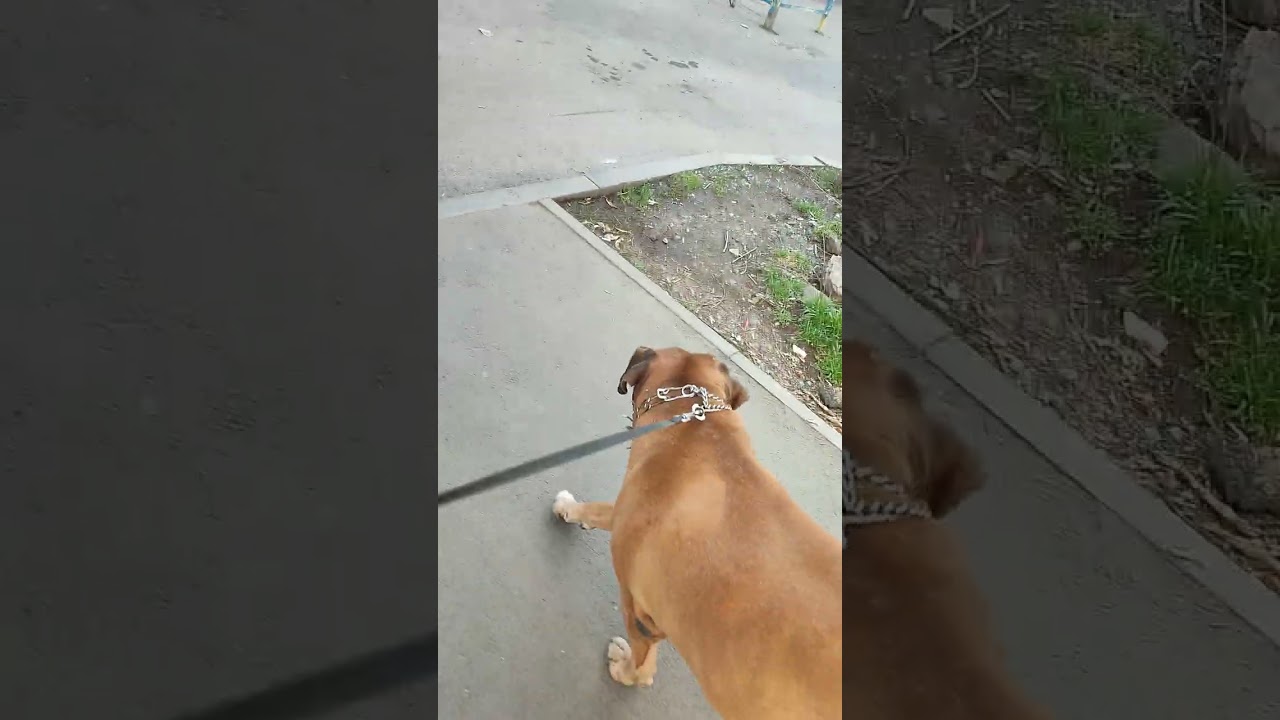 Всем доброго дня♥️♥️♥️