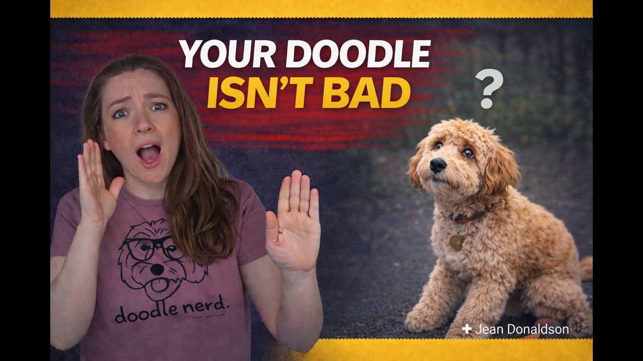 Jean Donaldson: Why Your Doodle Isn’t “Being Bad” (The Culture Clash Explained)