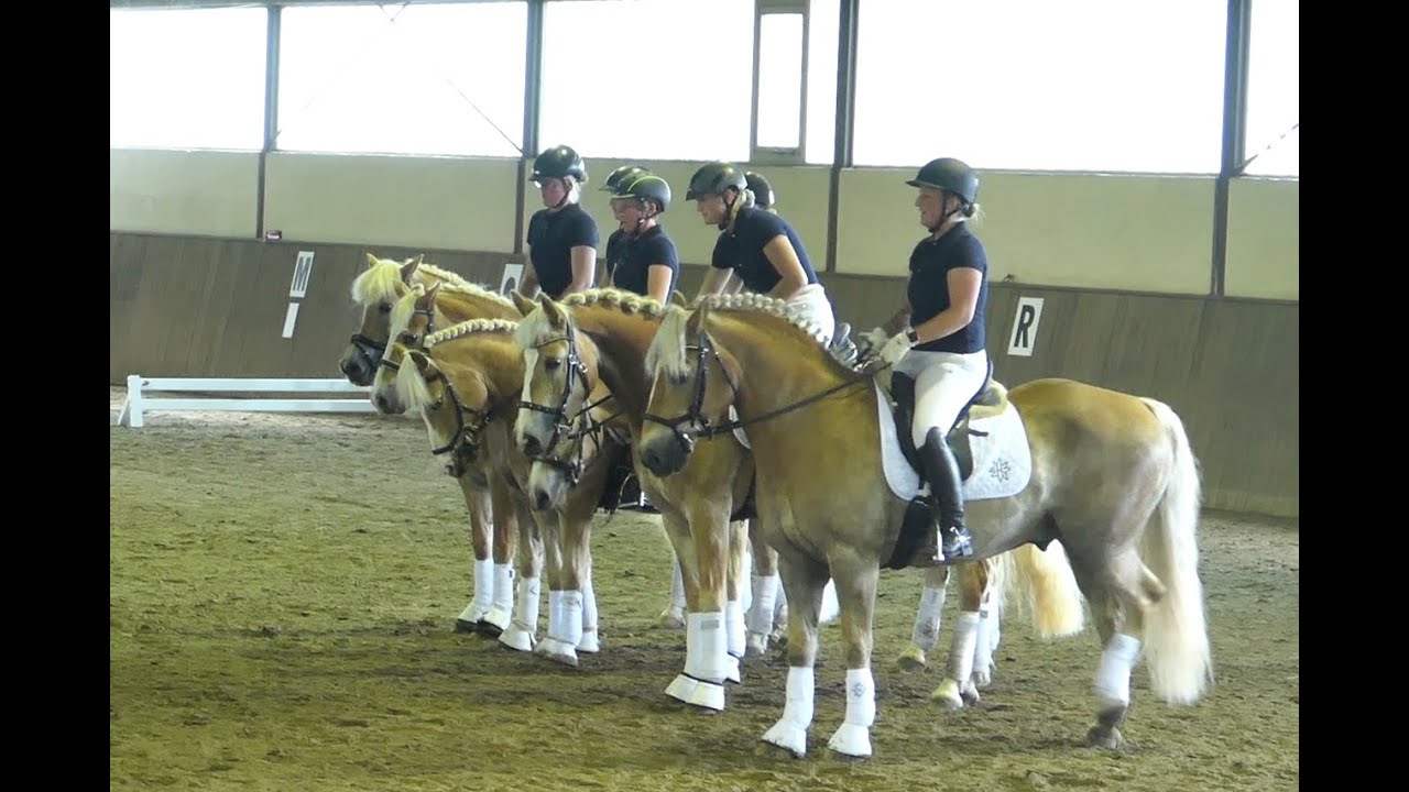 Quadrille des Haflinger Freundeskreis SH/HH Pfingsten 2022 Pony Park Padenstedt