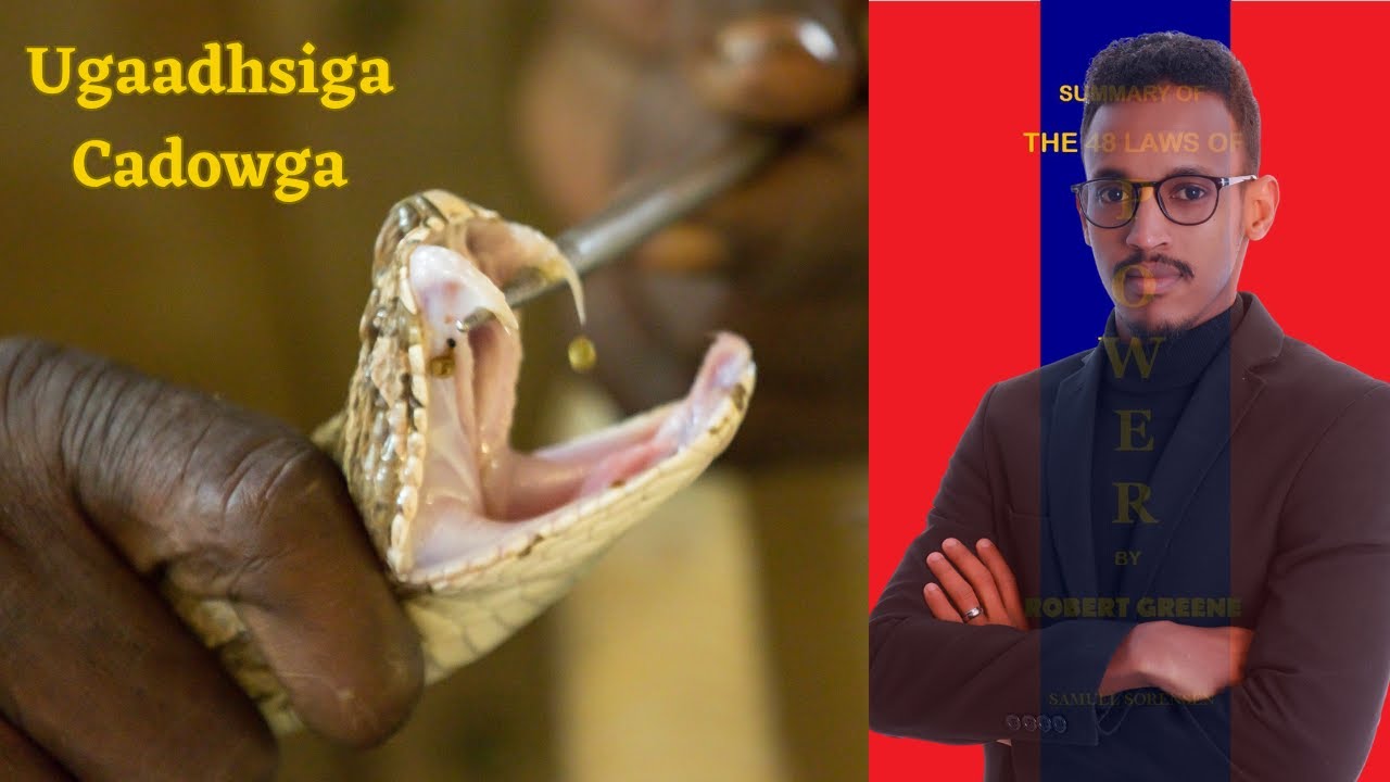 103 | 42 | Maska madaxa ka dil | sida looga takhaluso fekerka kaa soo horjeeda.