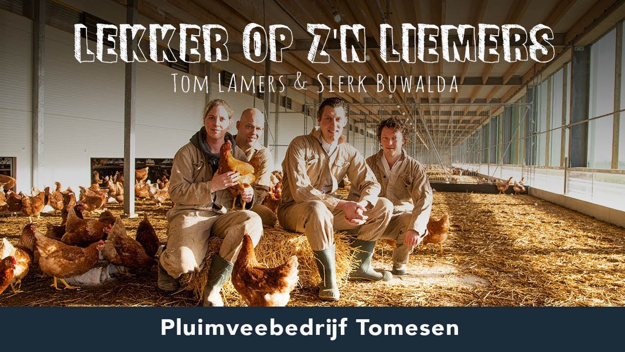 Het kip en het ei van pluimveebedrijf Tomesen