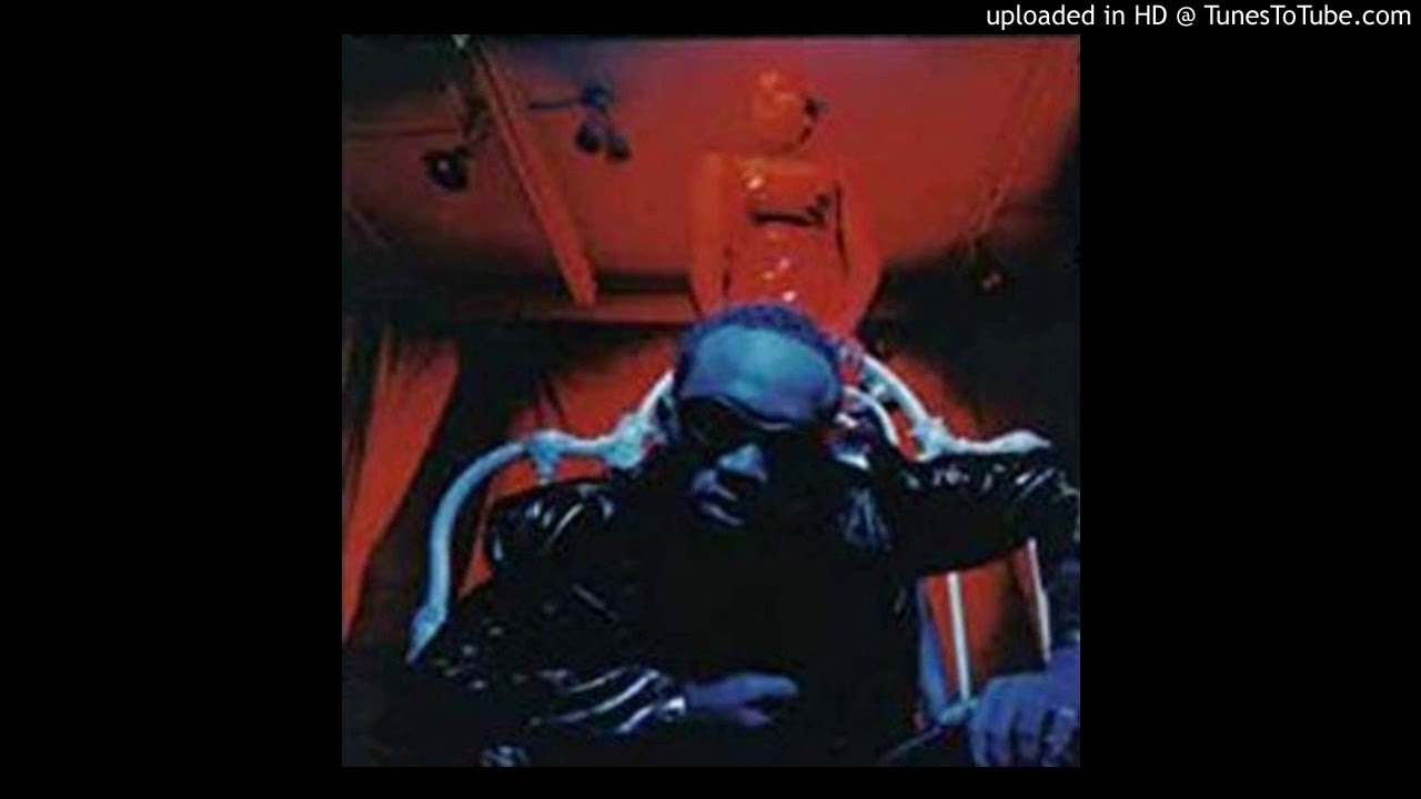 Shawnie Ranx - Goody Good Love