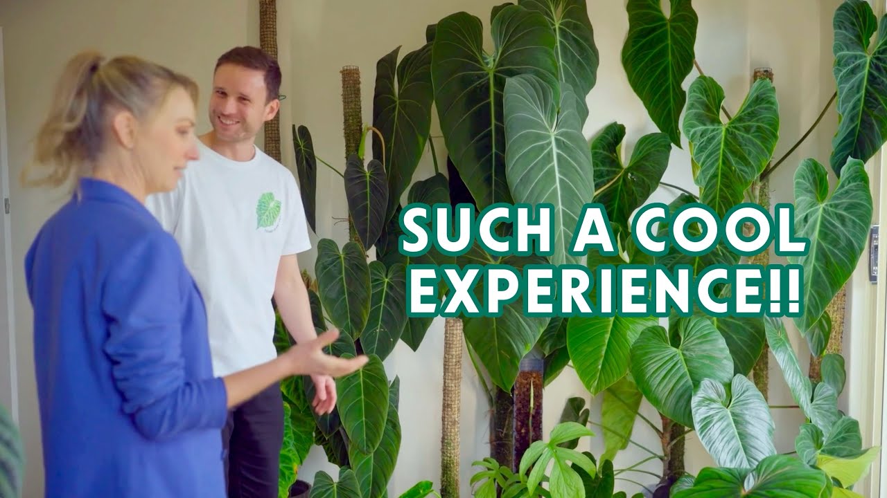 I'M ON TV!!! - being an 'expert' on The Garden Hustle