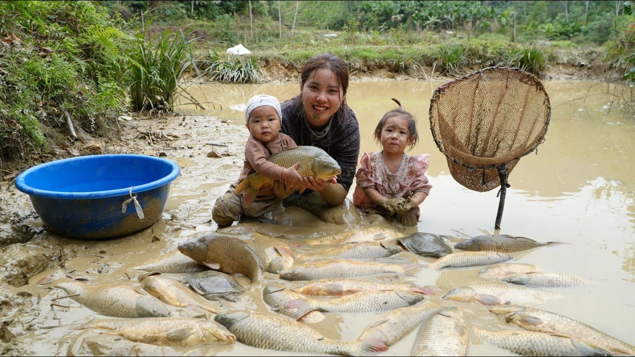 Single mother harvests giant fish pond to sell at market - cooking with children