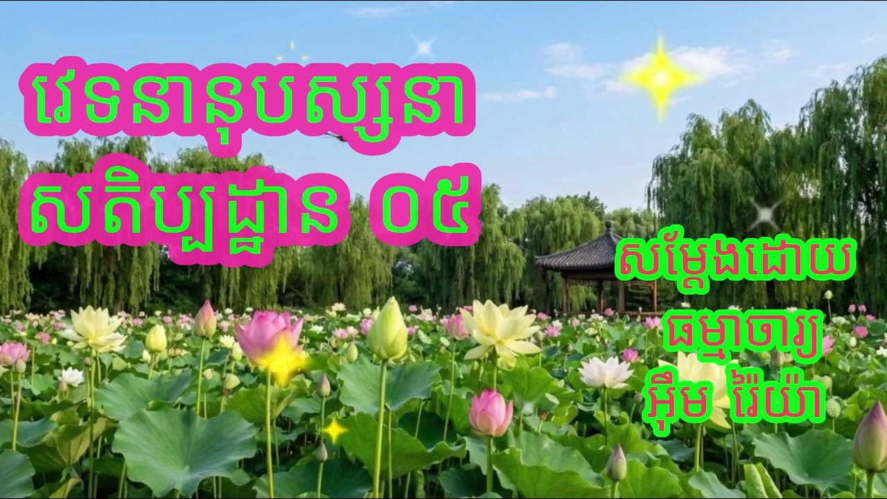 វេទនានុបស្សនាសតិប្បដ្ឋាន​​ ០៥ បង្រៀនដោយ ធម្មាចារ្យ អ៊ឹម រ៉ៃយ៉ា #ធម៌អប់រំចិត្ត #ធម៌អប់រំជីវិត #ទេសនា