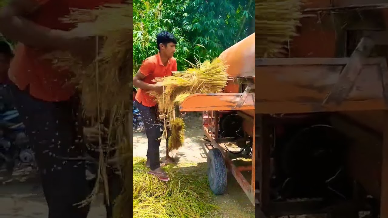 New ধান মাড়াই করা মেশিন
