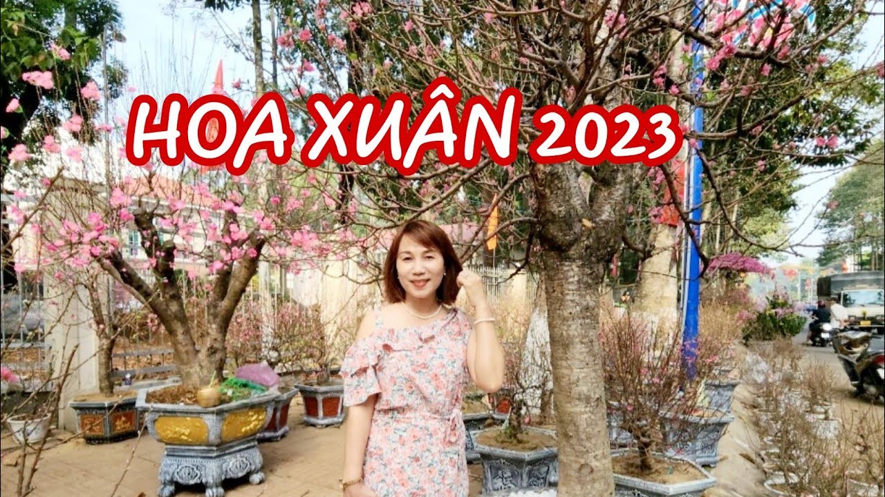 Hoa Xuân 2023