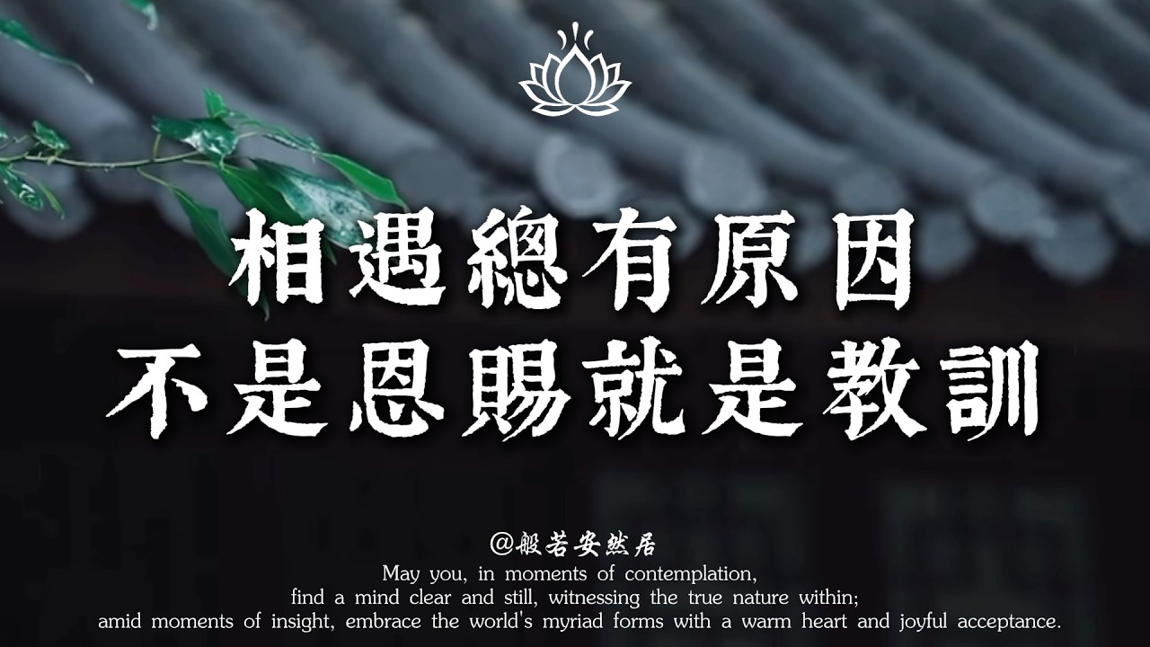 讀懂因果的真相：傷害你的人，其實是來渡你的。#能量療愈 #心灵感悟 #佛學 #人生感悟 #禅意生活 #修心 #心靈暖流